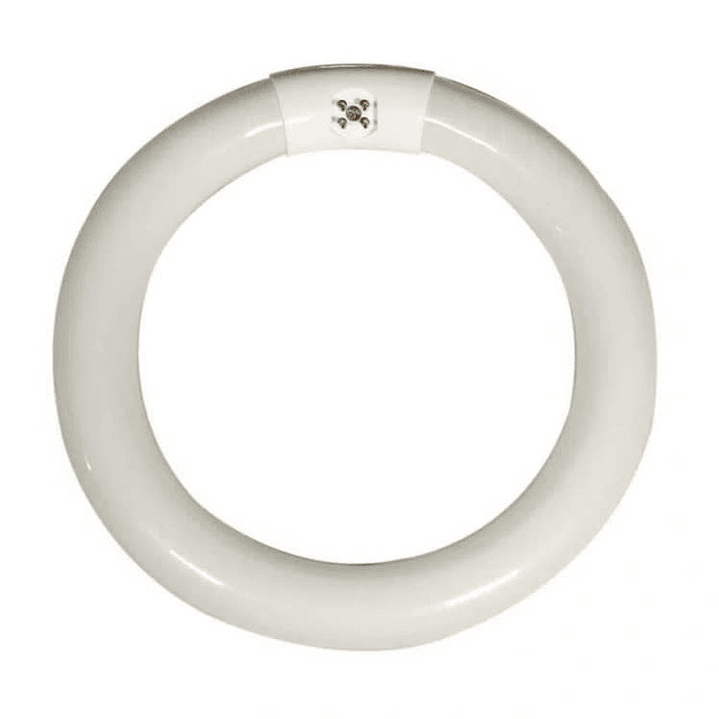 Tubo Circular 32w Westinghouse 1