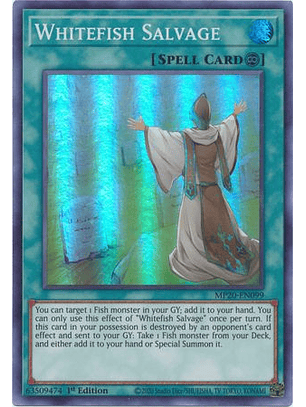 Whitefish Salvage - MP20-EN099 - Super Rare
