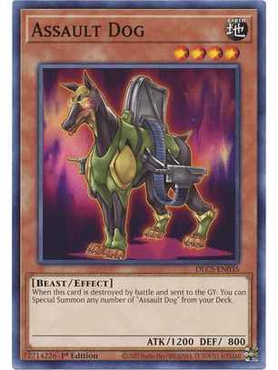 Assault Dog - DLCS-EN035 - Common 