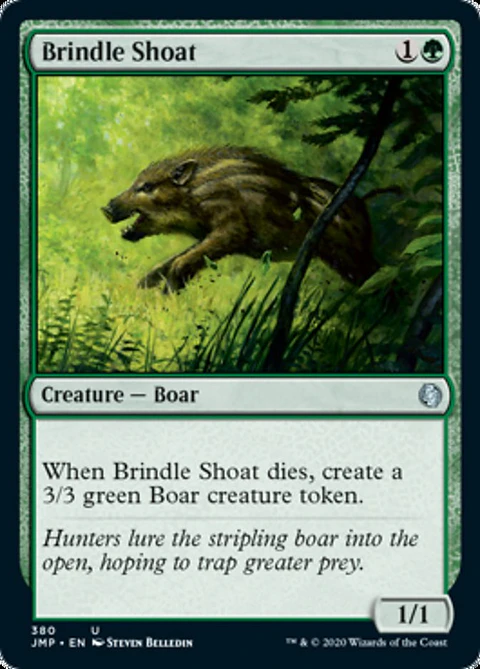 Brindle Shoat - JMP - U 
