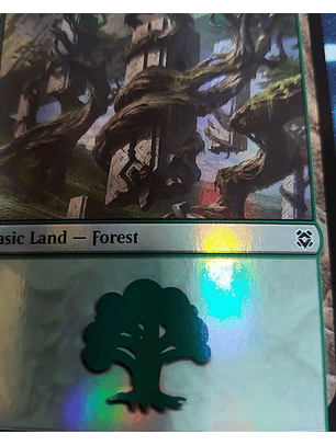 Forest # 384 - ZNR ★