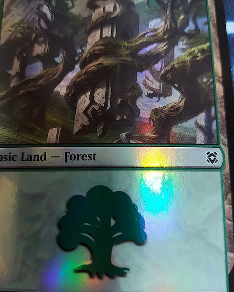 Forest # 384 - ZNR ★