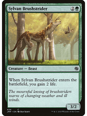 Sylvan Brushstrider - JMP - C