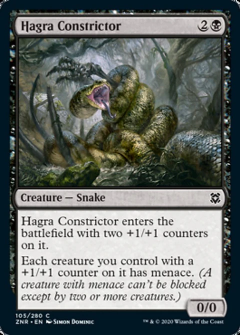 Hagra Constrictor - ZNR - C