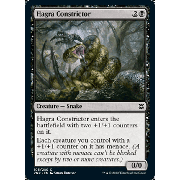 Hagra Constrictor - ZNR - C