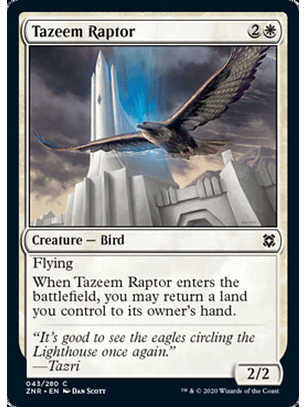 Tazeem Raptor - ZNR - C