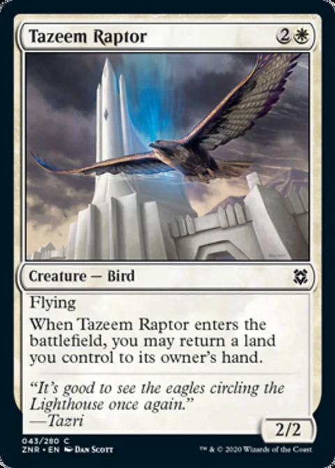 Tazeem Raptor - ZNR - C