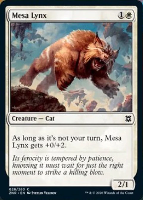 Mesa Lynx - ZNR - C