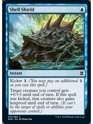 Shell Shield - ZNR - C