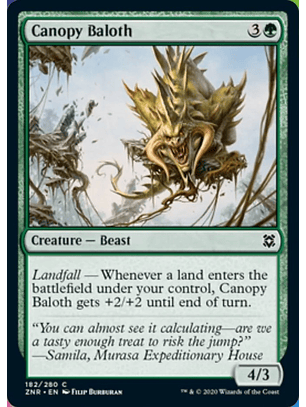 CANOPY BALOTH - ZNR - C