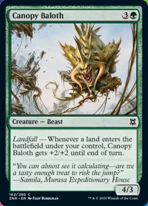 CANOPY BALOTH - ZNR - C
