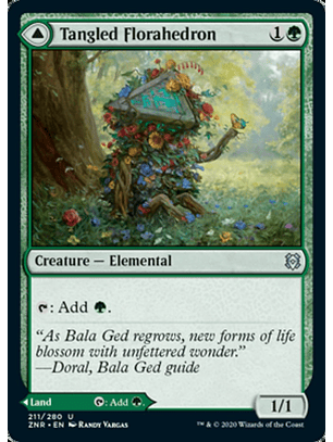 Tangled Florahedron - ZNR - U 