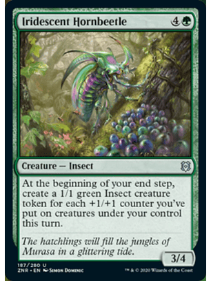 Iridescent Hornbeetle - ZNR - U 