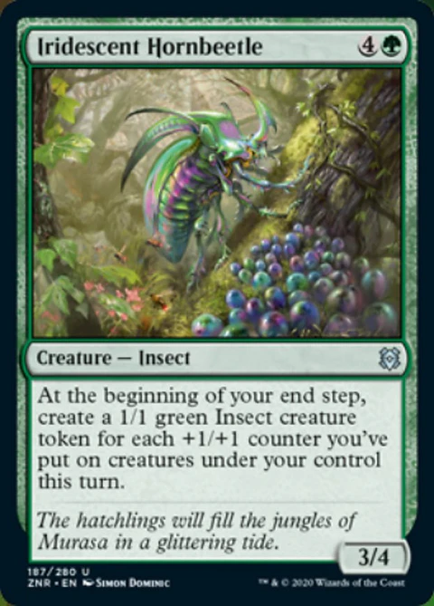 Iridescent Hornbeetle - ZNR - U 