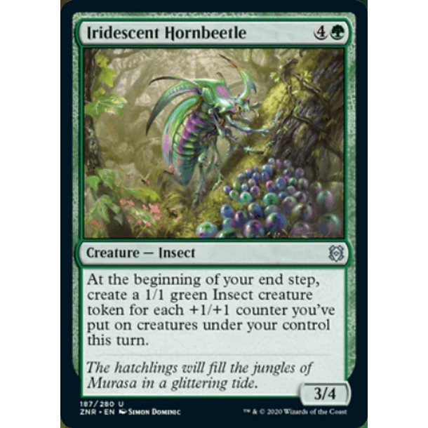 Iridescent Hornbeetle - ZNR - U 