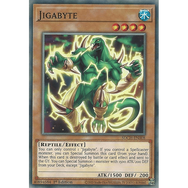 Jigabyte - SDCH-EN008 - Common 