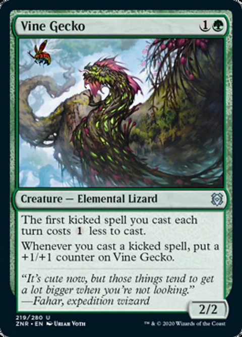 Vine Gecko - ZNR - U 