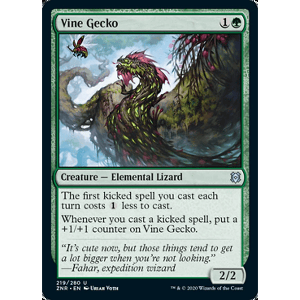 Vine Gecko - ZNR - U 