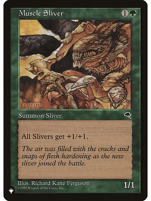 Muscle Sliver - PLIST - C