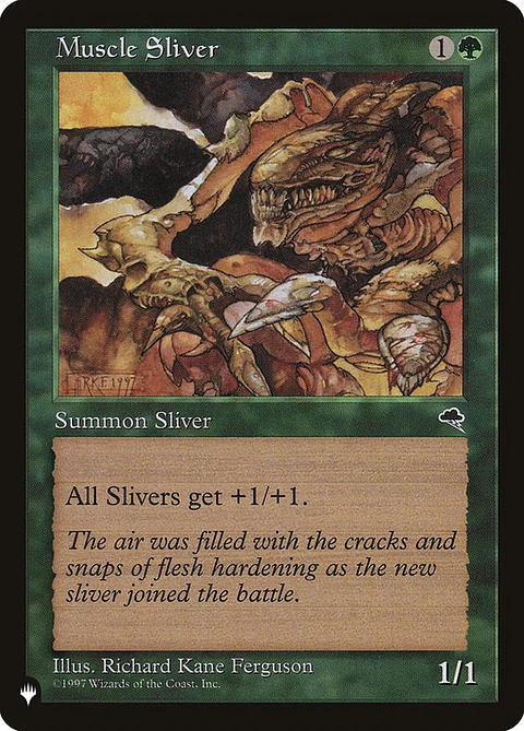 Muscle Sliver - PLIST - C