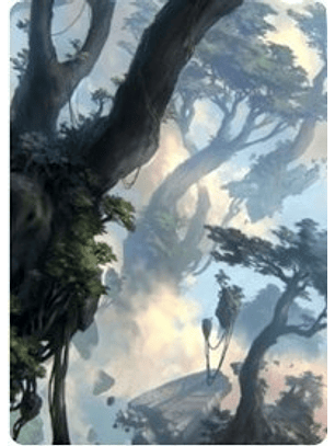 Forest Art Card (19/81) - ZNR - A