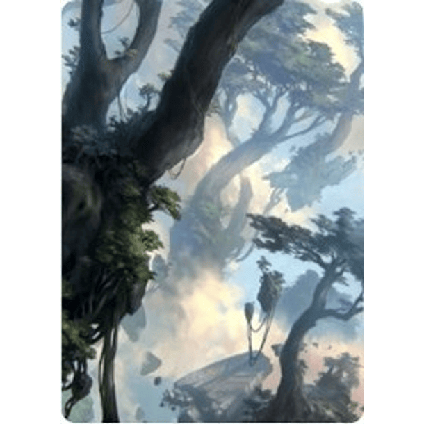 Forest Art Card (19/81) - ZNR - A