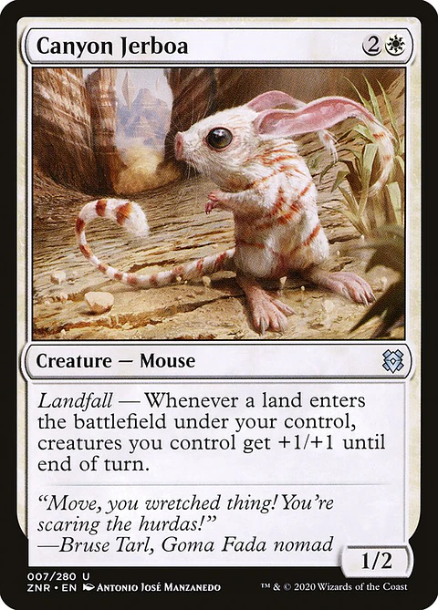 Canyon Jerboa - ZNR - U 