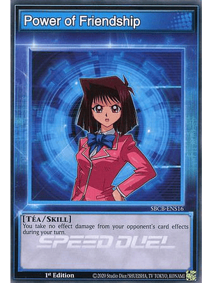 Power of Friendship - SBCB-ENS16 - Common