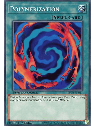 Polymerization - SBCB-EN011 - Common