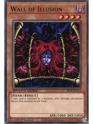 Wall of Illusion - SBCB-EN113 - Common 