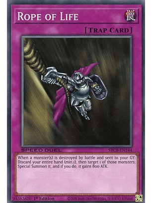 Rope of Life - SBCB-EN144 - Common