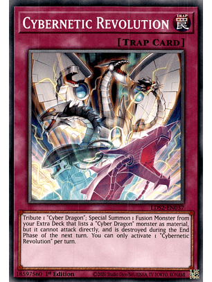 Cybernetic Revolution - LDS2-EN037 - Common 