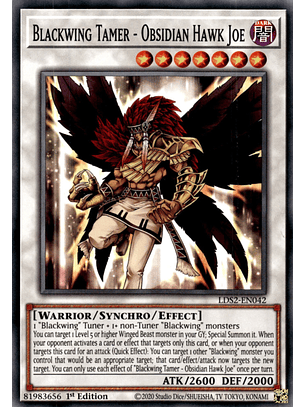 Blackwing Tamer - Obsidian Hawk Joe - LDS2-EN042 - Common 