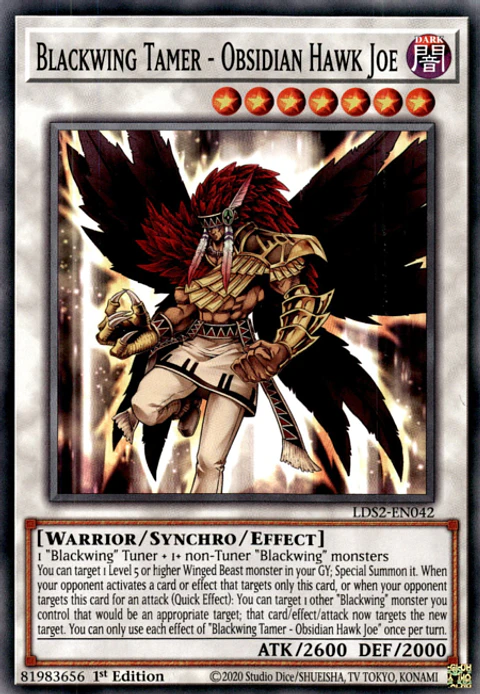 Blackwing Tamer - Obsidian Hawk Joe - LDS2-EN042 - Common 