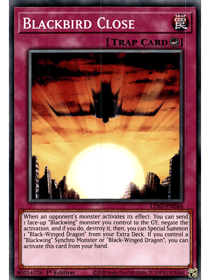 Blackbird Close - LDS2-EN046 - Common 