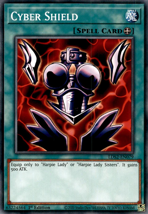 Cyber Shield - LDS2-EN079 - Common 