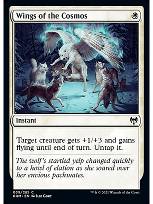 Wings of the Cosmos - KHM - C