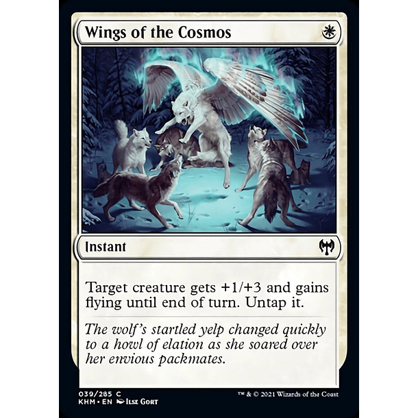Wings of the Cosmos - KHM - C 1