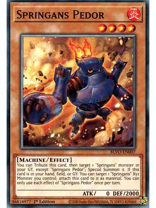 Springans Pedor - BLVO-EN007 - Common 