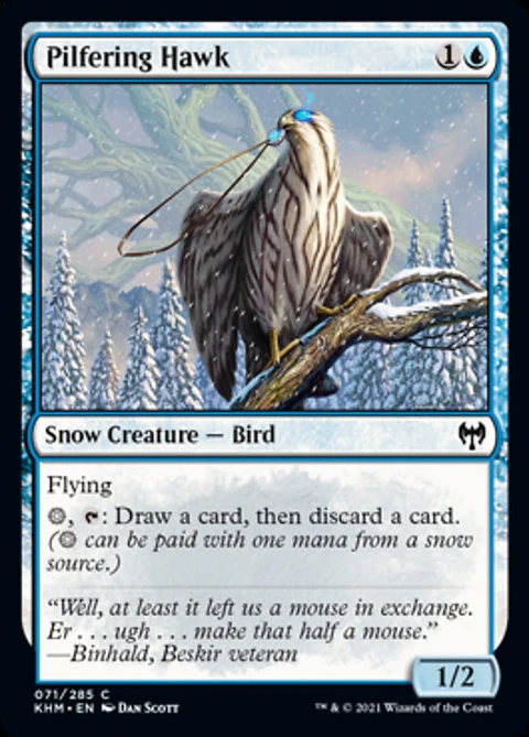 Pilfering Hawk - KHM - C 