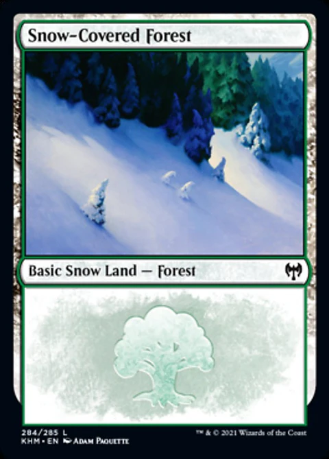 Snow-Covered Forest - KHM - C