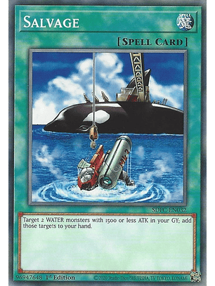 Salvage - SDFC-EN032 - Common