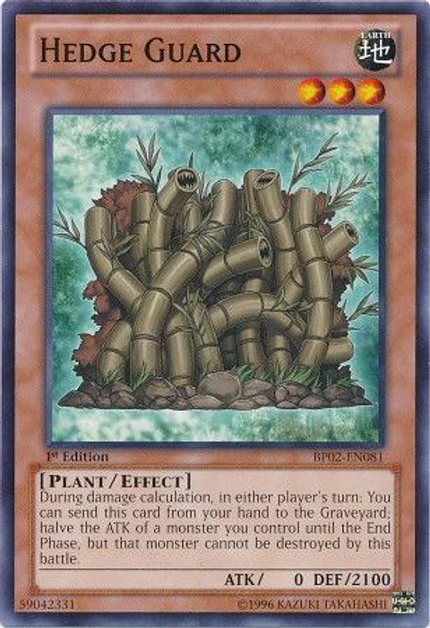 Hedge Guard - BP02-EN081 - Common