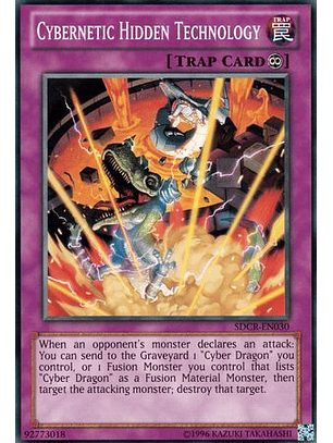 Cybernetic Hidden Technology - SDCR-EN030 - Common