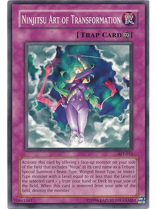 Ninjitsu Art of Transformation - AST-052 - Common