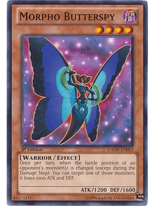 Morpho Butterspy - GAOV-EN012 - Common