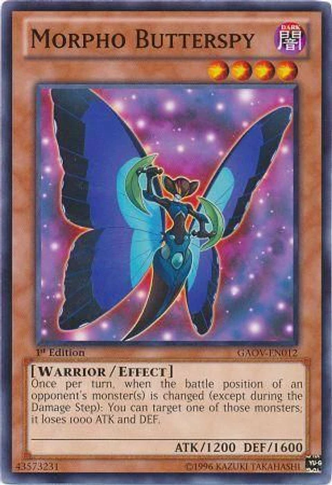 Morpho Butterspy - GAOV-EN012 - Common