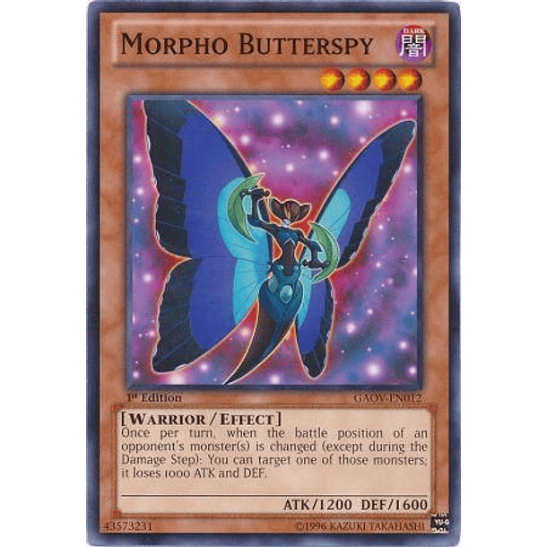 Morpho Butterspy - GAOV-EN012 - Common
