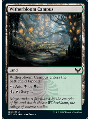 Witherbloom Campus - STX - C