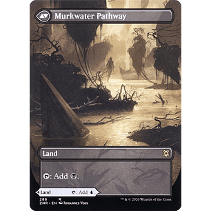 Clearwater Pathway // Murkwater Pathway - ZNR 